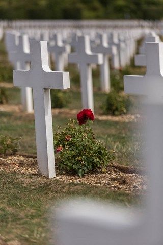 Tombe de poilu avec une rose au cimetière de Verdun