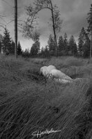 Nu_20211003_171