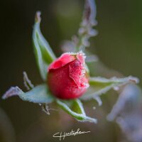 20201121_008