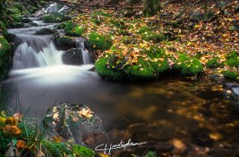 20001119_DiaEau0354
