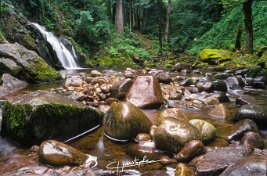 20020610_DiaEau0244