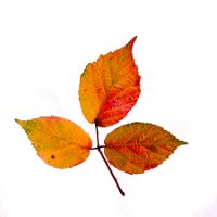Num20201014_094