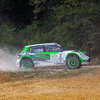 Skoda verte et blanche